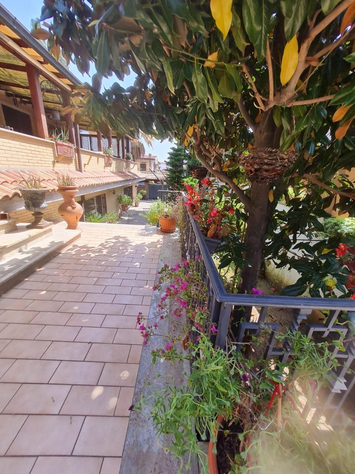 רומא Villa Mattei Dreams מראה חיצוני תמונה